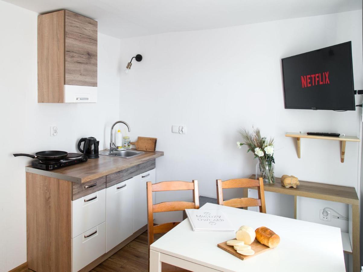 Appartement Miedzy Owcami à Sromowce Wyzne Extérieur photo